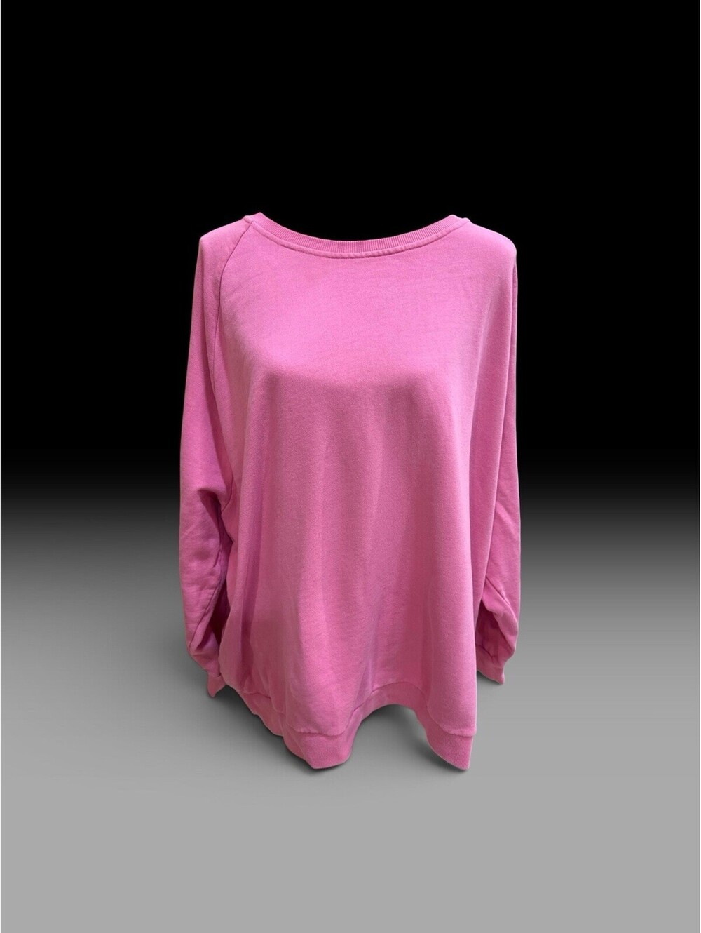 Women’s Ivory Ella Plus Size Pink Crew Neck Sweatshirt 2XL Comfy Athleisure